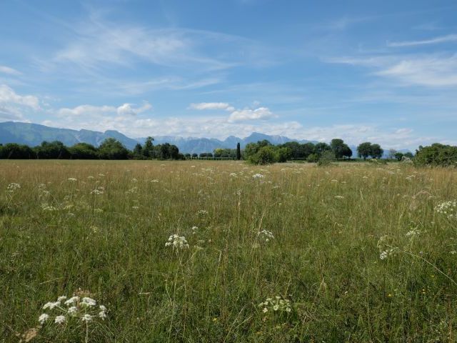 Magredi of San Quirino